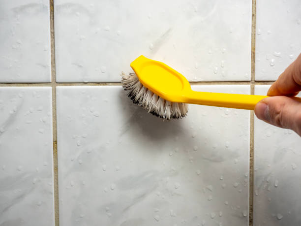Reliable Delhi, CA Mold Removal Solutions