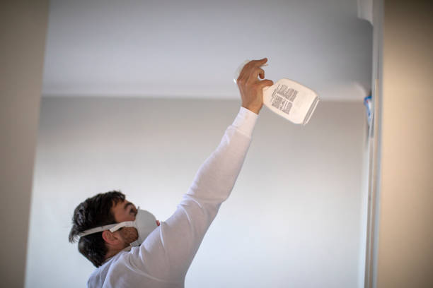 Best Mold Damage Repair  in Delhi, CA