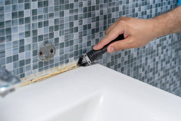 Mold Removal Process in Delhi, CA