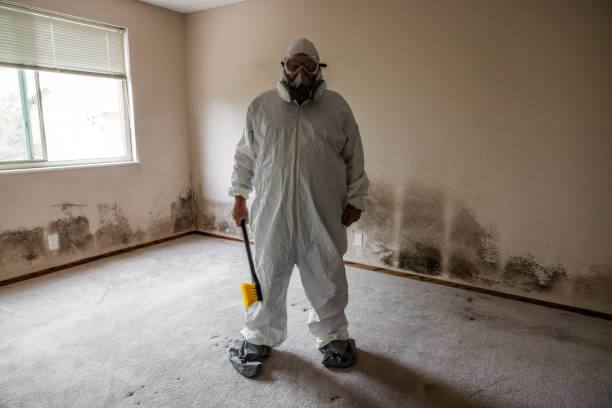 Best Crawl Space Mold Removal  in Delhi, CA